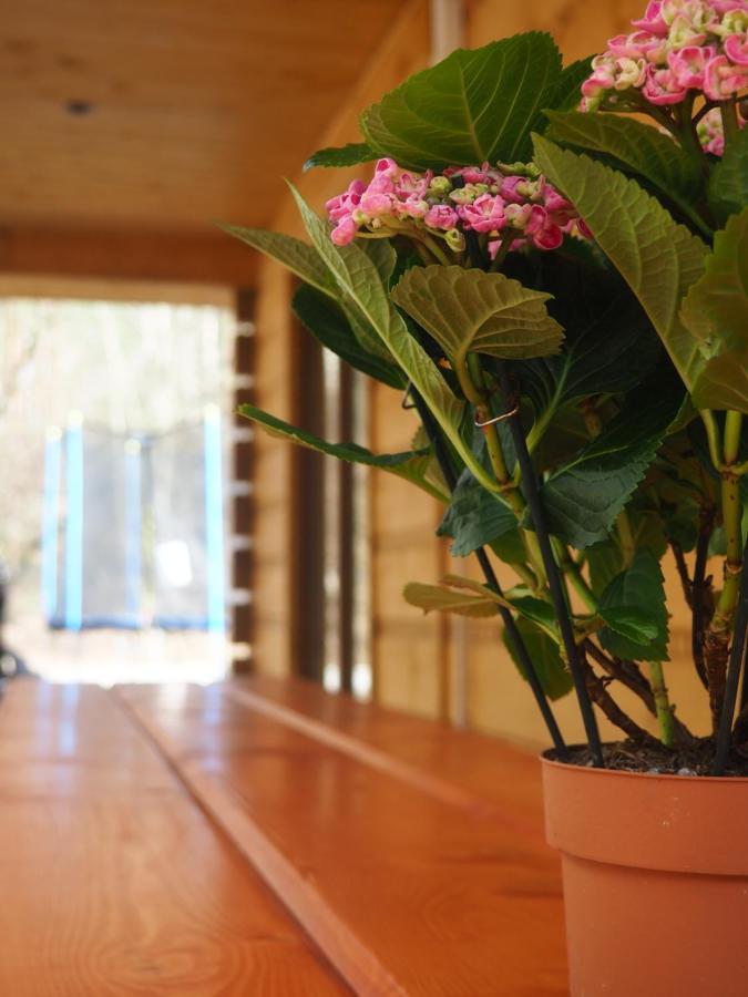 Bochenowka Holiday home